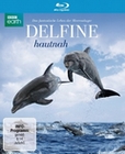 Delfine hautnah (BR)