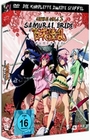Samurai Girls 2 - Komplette 2. Staffel [3 DVDs]