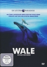 Wale - Könige der Meere
