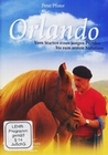 Orlando - Vom Starten eines jungen Pferdes bis..