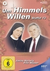 Um Himmels Willen - Staffel 13 [4 DVDs]