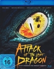 Attack of the Last Dragon (BR)