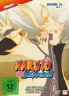 Naruto Shippuden - Staffel 15 - Box 1 [3 DVDs]