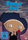 Family Guy - Season 14 [3 DVDs]