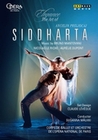 Siddharta - Elegance - The Art Of Angelin...