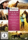 Pferde Box [5 DVDs]