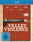 In a Valley of Violence