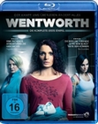 Wentworth - Staffel 1 [3 BRs]