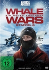 Whale Wars - Ein neuer ... - Staffel 6