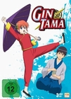 Gintama Box 2 - Episode 14-24 [3 DVDs]
