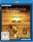 Symphonie der Wildnis - Die schnsten Tierfilme