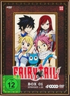 Fairy Tail - Box 1 [4 DVDs]