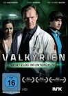 Valkyrien - Gesetzlos im Untergrund [2 DVDs]