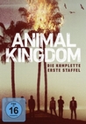 Animal Kingdom - Die komplette 1. Staffel