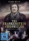 The Frankenstein Chronicles - Staffel 2 [2 DVD]