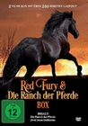 Red Fury & Die Ranch der Pferde Box
