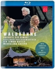 Berliner Philharmoniker Waldbhne 2018 -... (BR)