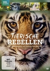 Tierische Rebellen - Die erstaunlichsten und ...