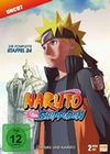 Naruto Shippuden - Staffel 24 [2 DVDs]