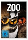 Zoo - Die komplette Serie [12 DVDs]