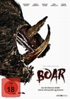 Boar - Uncut