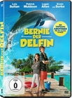 Bernie, der Delfin
