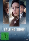 Falling Snow - Zwischen Liebe und Verrat