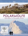 Polarwlfe - berleben in Kanadas Arktis