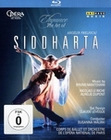 Siddharta - Elegance
