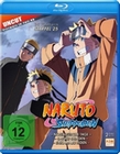 Naruto Shippuden - Staffel 25 (Folgen 700-713) (BR)