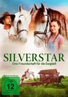 Silverstar