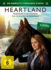 Heartland - Paradies fr Pferde, Staffel 14
