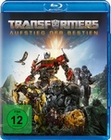 Transformers: Aufstieg der Bestien (BR)