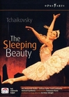 Tschaikowsky - Sleeping Beauty (2004) [2 DVDs]