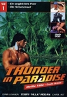 Thunder in Paradise Vol. 1