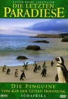 Die letzten Paradiese - Sdafrika/Die Pinguine..