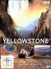 Yellowstone - Legendre Wildnis