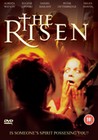 RISEN (DVD)