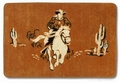 21 x COWBOY BADVORLEGER