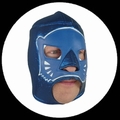 Lucha Libre Maske - Blue Panther