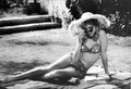 Lolita - Poster