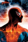 1 x SPIDERMAN POSTER - MARVEL COMICS: PROTECTOR OF THE CITY