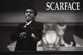1 x SCARFACE