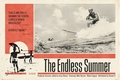 1 x THE ENDLESS SUMMER POSTER
