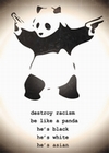 11 x DESTROY RACISM BANKSY POSTER PANDA