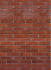 FOTOTAPETE - BACKSTEINE - BRICKSTONES