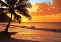 FOTOTAPETE - SONNENUNTERGANG AM STRAND - PACIFIC SUNSET