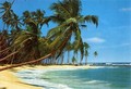 4 x FOTOTAPETE - STRAND UND MEER S�DSEE