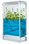  x FOREST ANTQUARIUM