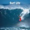  x SURF LIFE, PHOTOGRAPHS BY LEROY GRANNIS - 2008